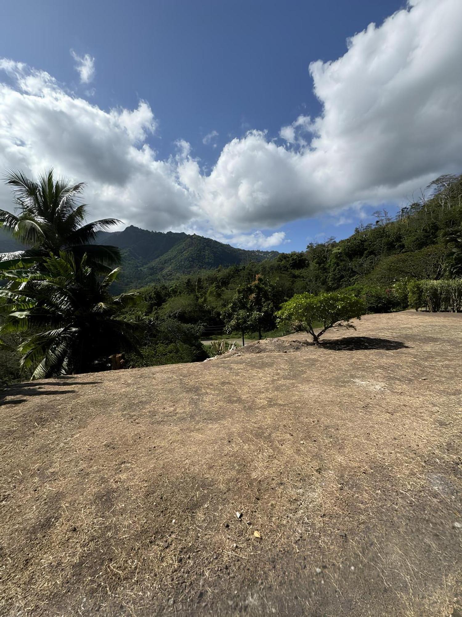 Tiki Lodge Hiva Oa Atuona Kültér fotó